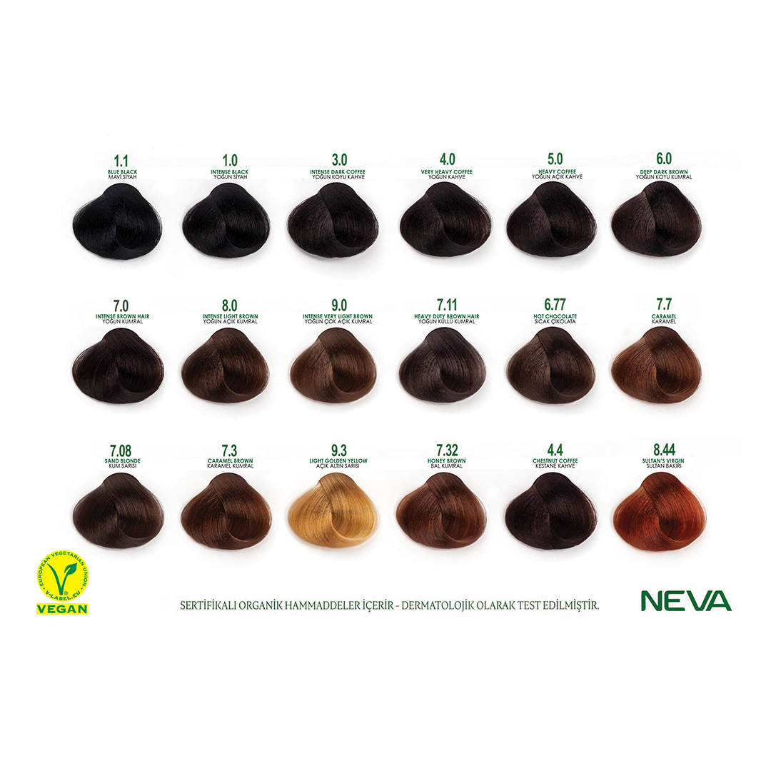 NEVA Naturalis Permanent Hair Dye Set, Vegan,100% Gray Coverage, Organic, No Harmful Chemicals, GMO-Free, Long-Lasting Shine - LIGHT GOLDEN BLONDE - 9.3